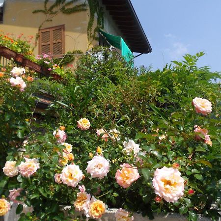 Il Giuggiolo Bed & Breakfast Calco  Exterior photo