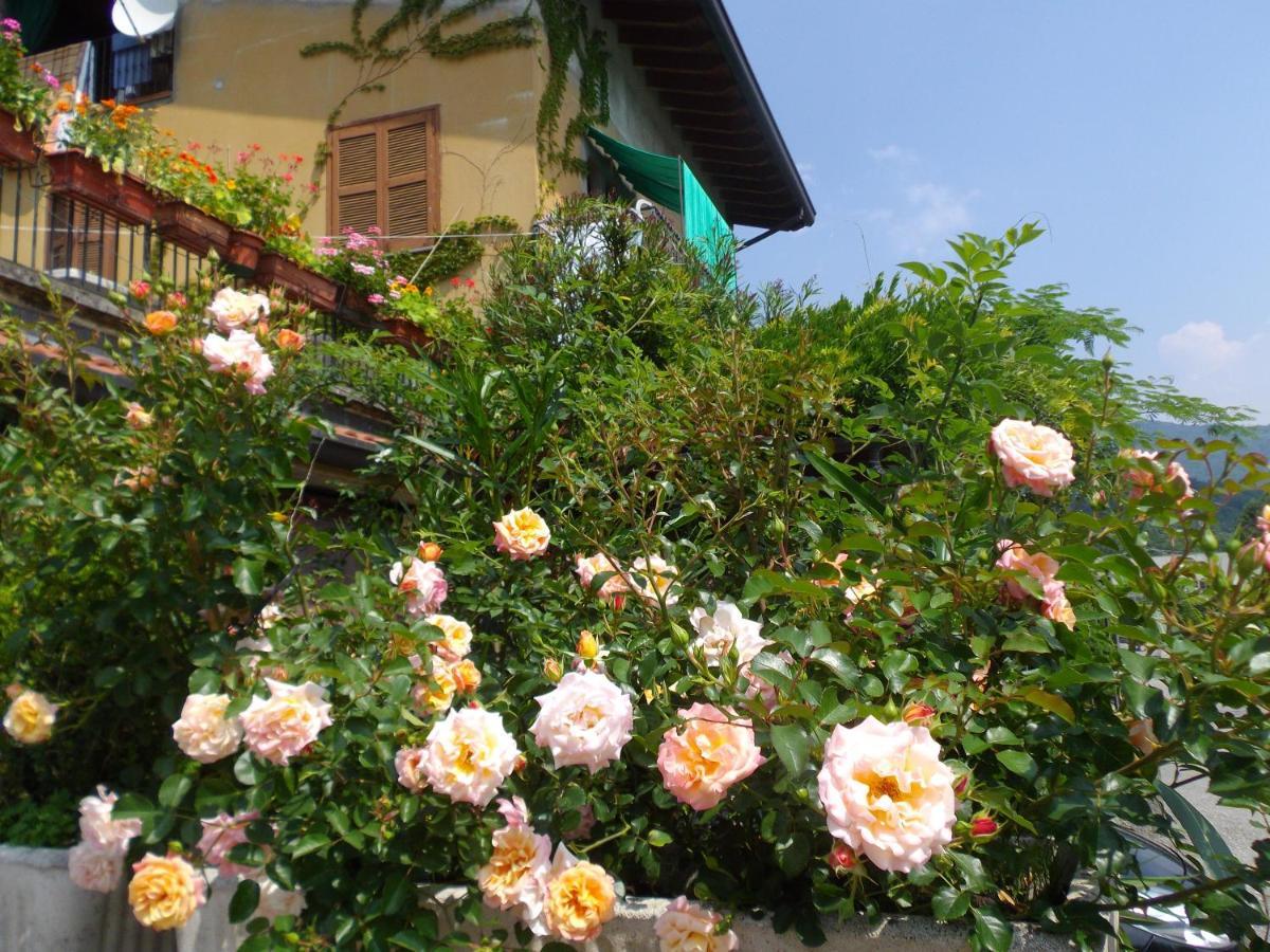 Il Giuggiolo Bed & Breakfast Calco  Exterior photo